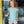 Wheels on the Bus Scallop Short Set