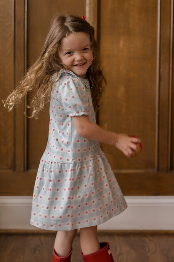 Lily Dress- Apples