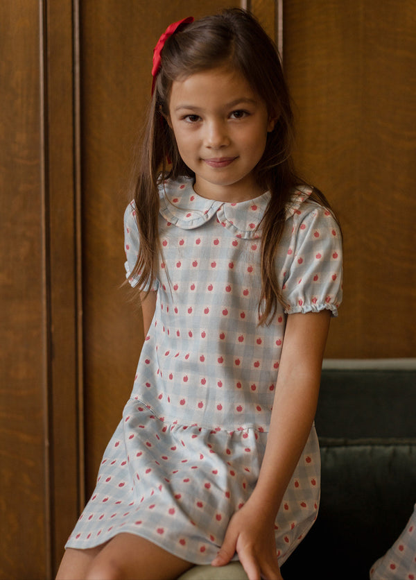 Lily Dress- Apples