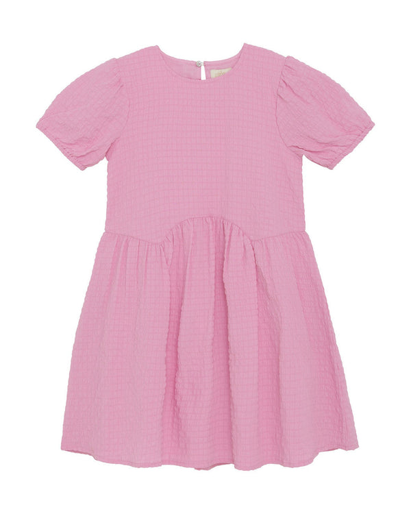 Rosebloom Structure Dress