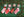 Pink Holiday Socks- (Women's)
