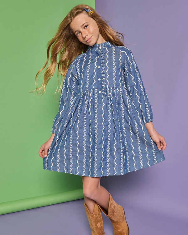 Amelia Dress- Chamonix Chambray Embroidery