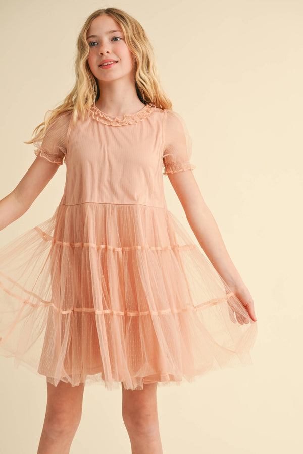 Puff Sleeve Tiered Mesh Dress