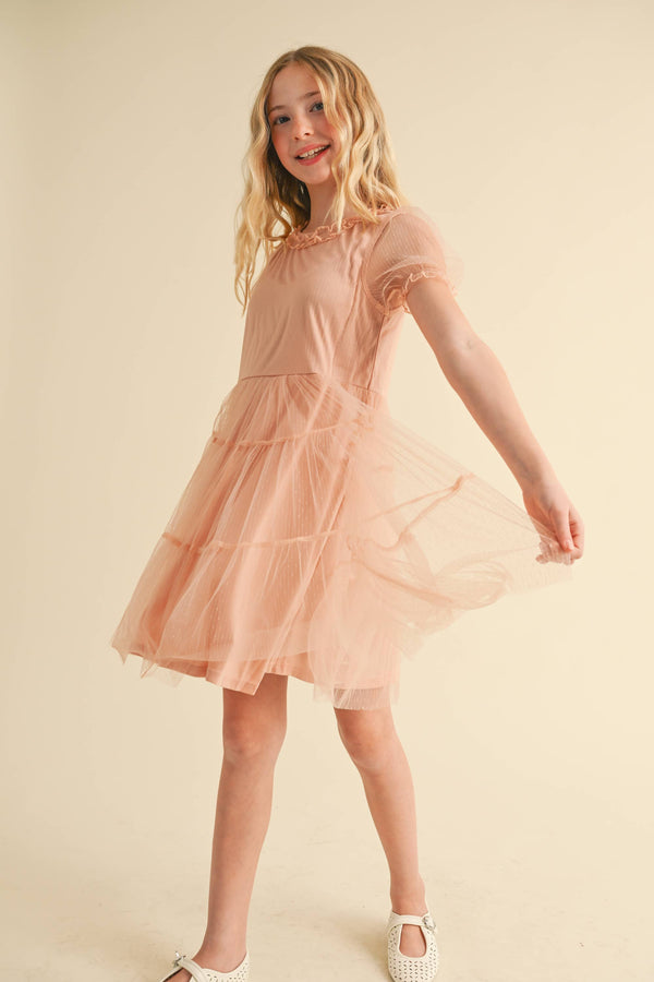 Puff Sleeve Tiered Mesh Dress