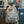Backpack- Pintail Camo