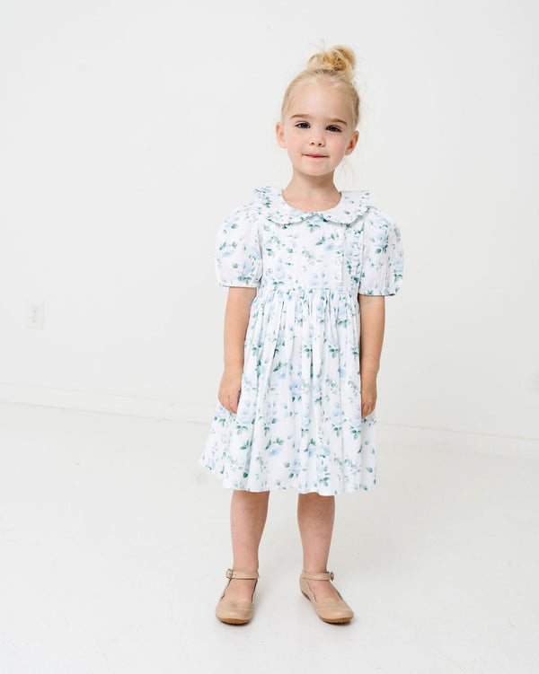 Roses Lily Dress