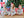 Beckett Hangout Pant- Under the Christmas Tree