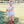 Americana Boy Bubble