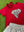 Sequin Elephant Boxy T- Crimson
