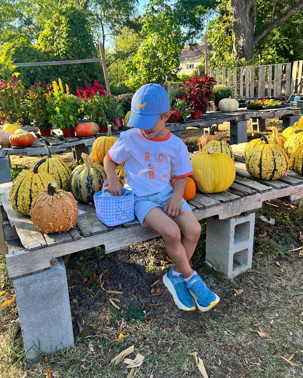 Blue Petite Pumpkin Tote