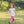 Birthday Elizabeth's Legging Set