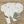 Henley Shirt- Duck