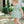 Believe Girl Bubble