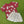 Maroon Football Top