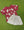 Maroon Football Top