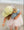 Butterfly Bow Baseball Hat