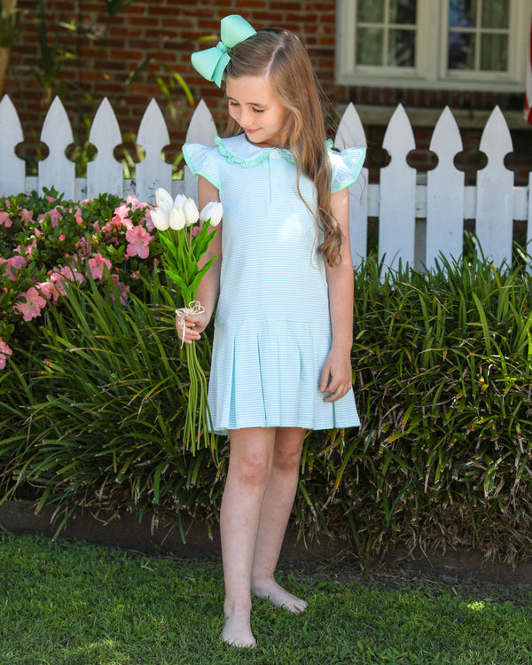 Camilla Dress- Mint Stripe
