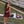 Cheer Uniform Set- Maroon