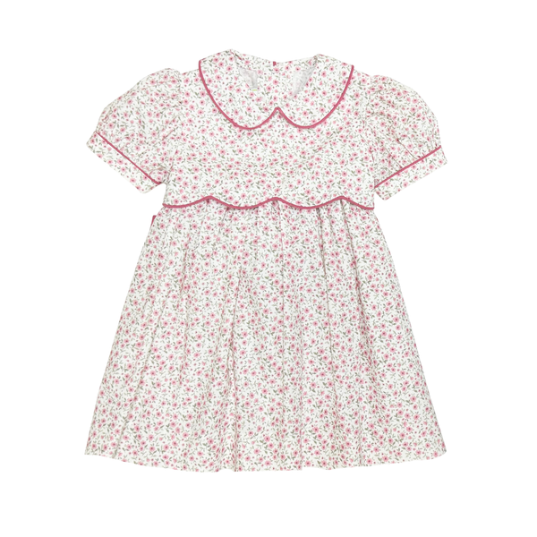 Hailey Dress- Tiny Roses Garden