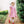 Crispin Apple Scallop Dress