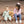 Dog Ruffle Pant Set