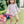 English Garden L/S Bubble