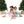Golfing Mrs. Claus And Elves L/S Loungewear Set
