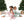 Golfing Santa And Elves L/S Loungewear Set