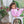 Girls All Day Jogger- Orchid