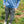 Zip Off Cargo Pant- Fly Fishing