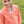 Sporty Snap Pullover- Crabapple