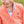 Sporty Snap Pullover- Crabapple