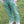 Sunday Funday Jogger Pant- Frosty Spruce