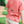 Pro Performance Polo- Crabapple Antler Print