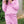 Girls All Day Jogger- Orchid