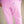 Girls All Day Jogger- Orchid