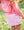 Pro Performance LS T-Shirt- Geranium Pink
