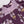 Fiona Dress- Plum Buttercup Floral