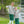 Fishing Trio Pant Set