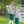 Fishing Trio Polo