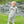 Fishing Trio LS Romper