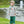 Fishing Trio Pant Set