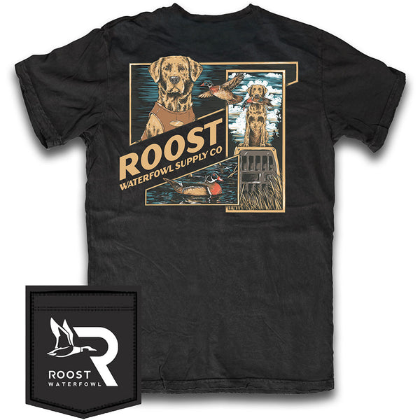 Youth Roost Flyaway Frames- Black