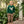 French Terry Pullover- Mallard