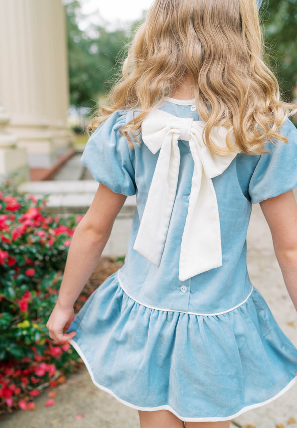 Harper Dress- Beaufort Blue Velvet, Winter White Velvet