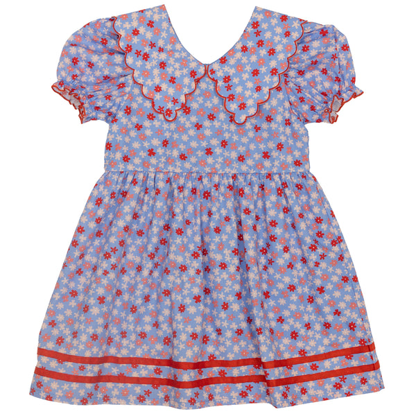 Conley Dress- Ditsy Floral