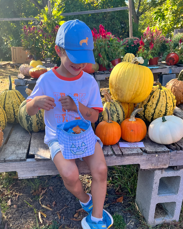 Blue Petite Pumpkin Tote
