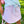 Tiffany Tennis Skort - Lav MG/Pink MG