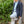 Roscoe Button Down- Blue Oxford