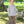 Knit Pants- Beige
